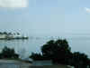 P3010004.jpg (82823 bytes)