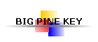 BIG PINE KEY